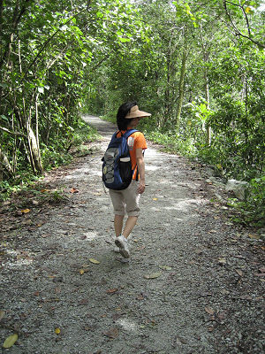 Sungei Buloh